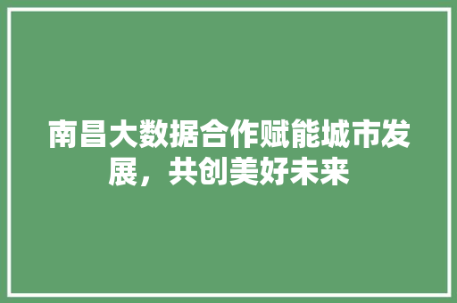 南昌大数据合作赋能城市发展，共创美好未来