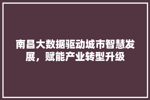 南昌大数据驱动城市智慧发展，赋能产业转型升级 SEO教程