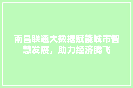 南昌联通大数据赋能城市智慧发展，助力经济腾飞