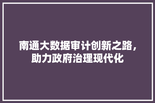 南通大数据审计创新之路，助力政府治理现代化