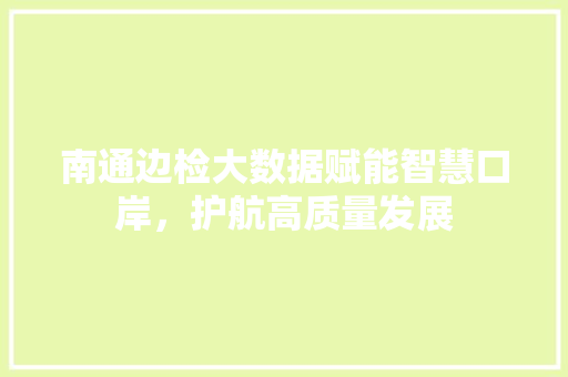 南通边检大数据赋能智慧口岸，护航高质量发展 Web前端
