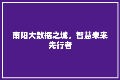 南阳大数据之城，智慧未来先行者