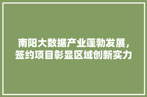 南阳大数据产业蓬勃发展，签约项目彰显区域创新实力 Web前端