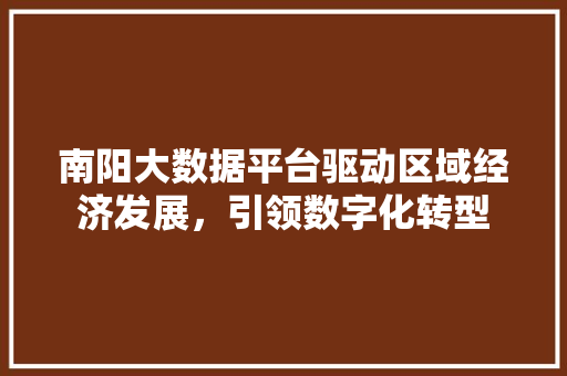 南阳大数据平台驱动区域经济发展，引领数字化转型 SEO教程