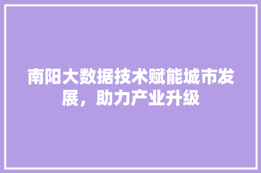 南阳大数据技术赋能城市发展，助力产业升级