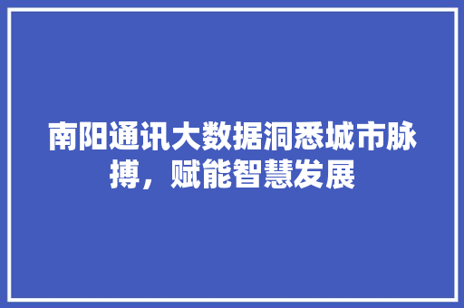 南阳通讯大数据洞悉城市脉搏，赋能智慧发展 建站教程
