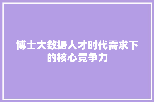 博士大数据人才时代需求下的核心竞争力