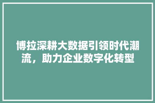 博拉深耕大数据引领时代潮流，助力企业数字化转型