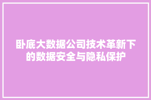 卧底大数据公司技术革新下的数据安全与隐私保护 建站教程
