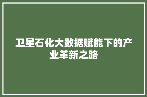 卫星石化大数据赋能下的产业革新之路