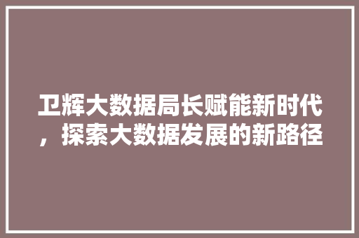 卫辉大数据局长赋能新时代，探索大数据发展的新路径