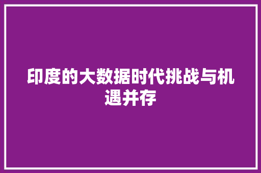 印度的大数据时代挑战与机遇并存
