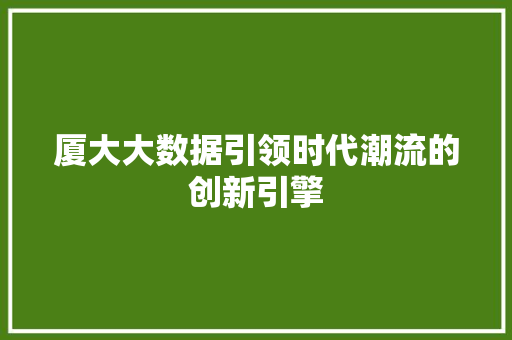 厦大大数据引领时代潮流的创新引擎