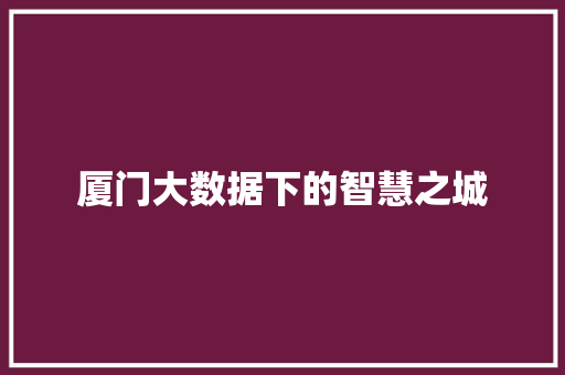 厦门大数据下的智慧之城