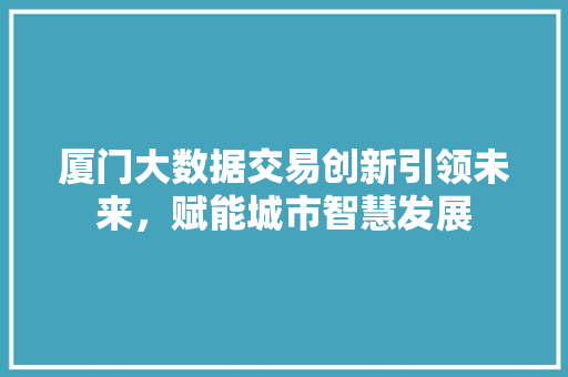 厦门大数据交易创新引领未来，赋能城市智慧发展