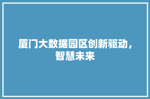 厦门大数据园区创新驱动，智慧未来