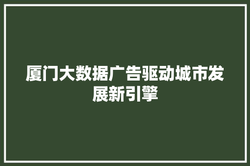 厦门大数据广告驱动城市发展新引擎
