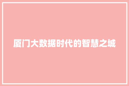 厦门大数据时代的智慧之城