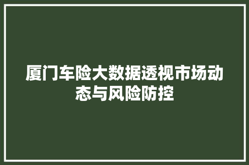 厦门车险大数据透视市场动态与风险防控