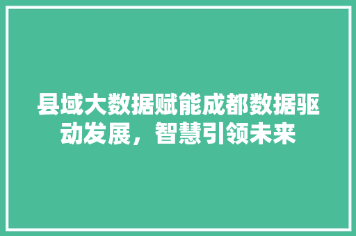 县域大数据赋能成都数据驱动发展，智慧引领未来 建站教程