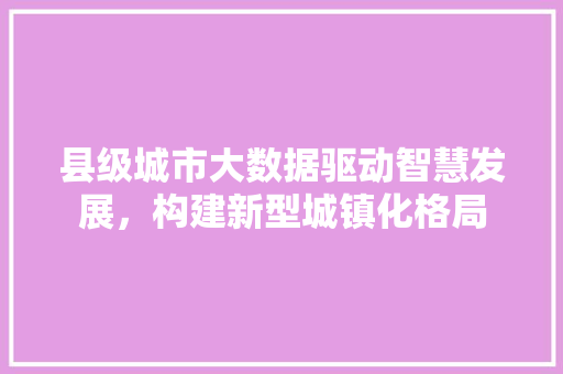 县级城市大数据驱动智慧发展，构建新型城镇化格局 Web前端