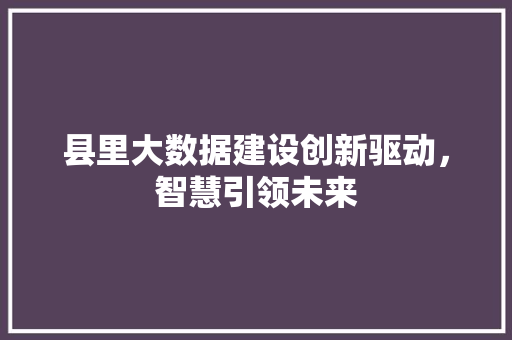 县里大数据建设创新驱动，智慧引领未来