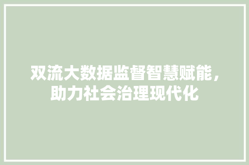 双流大数据监督智慧赋能，助力社会治理现代化