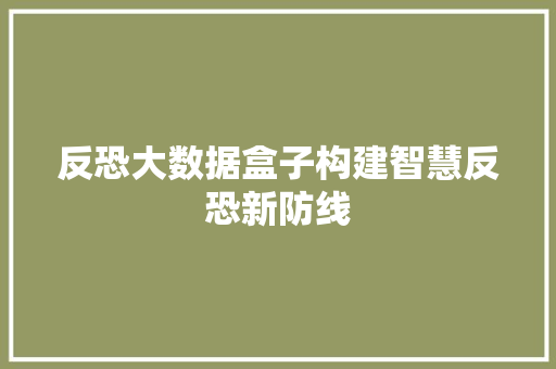 反恐大数据盒子构建智慧反恐新防线