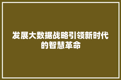 发展大数据战略引领新时代的智慧革命