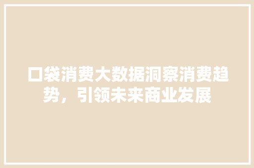 口袋消费大数据洞察消费趋势，引领未来商业发展 友链在线