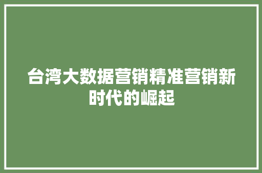台湾大数据营销精准营销新时代的崛起