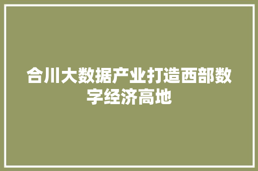 合川大数据产业打造西部数字经济高地