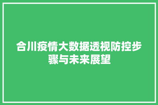 合川疫情大数据透视防控步骤与未来展望