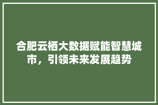 合肥云栖大数据赋能智慧城市，引领未来发展趋势 Web前端