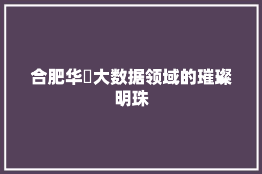 合肥华芃大数据领域的璀璨明珠