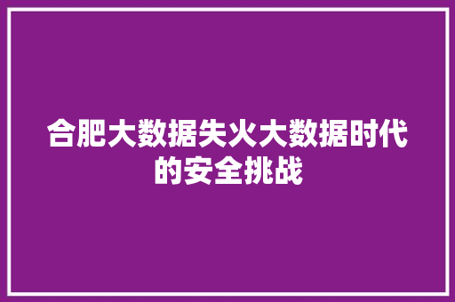 合肥大数据失火大数据时代的安全挑战