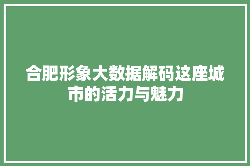 合肥形象大数据解码这座城市的活力与魅力