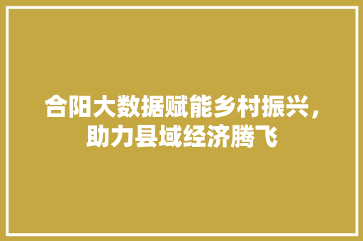 合阳大数据赋能乡村振兴，助力县域经济腾飞 WordPress教程