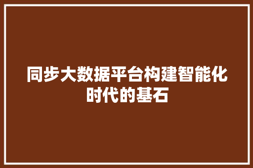 同步大数据平台构建智能化时代的基石