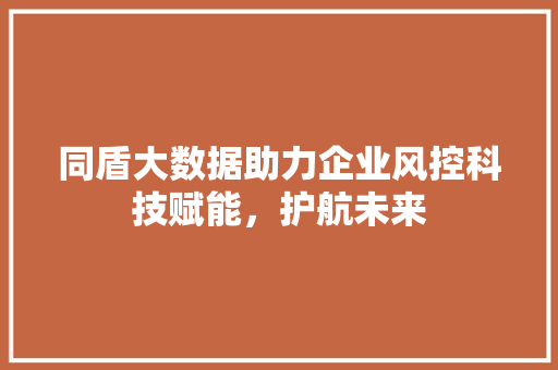 同盾大数据助力企业风控科技赋能，护航未来