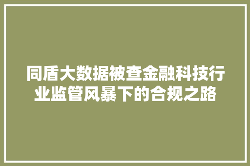 同盾大数据被查金融科技行业监管风暴下的合规之路