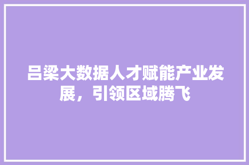 吕梁大数据人才赋能产业发展，引领区域腾飞