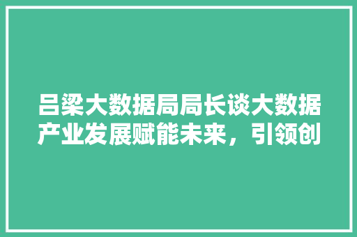 吕梁大数据局局长谈大数据产业发展赋能未来，引领创新