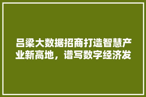 吕梁大数据招商打造智慧产业新高地，谱写数字经济发展新篇章