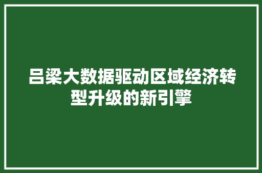 吕梁大数据驱动区域经济转型升级的新引擎