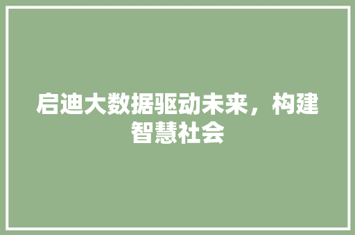 启迪大数据驱动未来，构建智慧社会