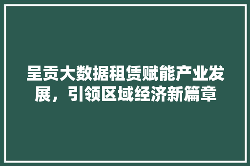 呈贡大数据租赁赋能产业发展，引领区域经济新篇章