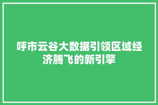 呼市云谷大数据引领区域经济腾飞的新引擎
