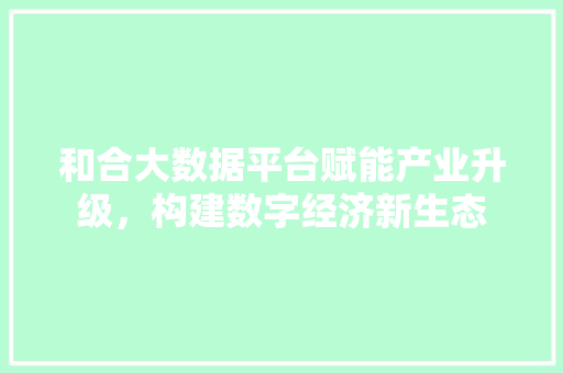 和合大数据平台赋能产业升级，构建数字经济新生态