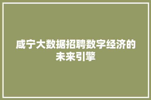 咸宁大数据招聘数字经济的未来引擎